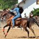 Domados do Pampa se consolida como o segundo maior campeonato equestre do RS