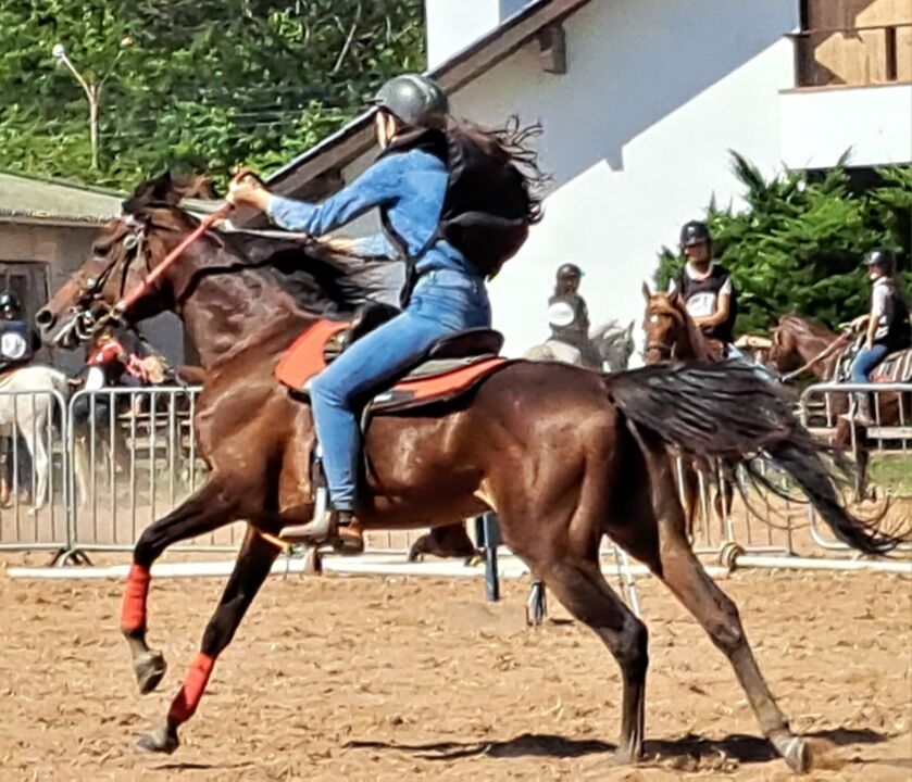 Domados do Pampa se consolida como o segundo maior campeonato equestre do RS