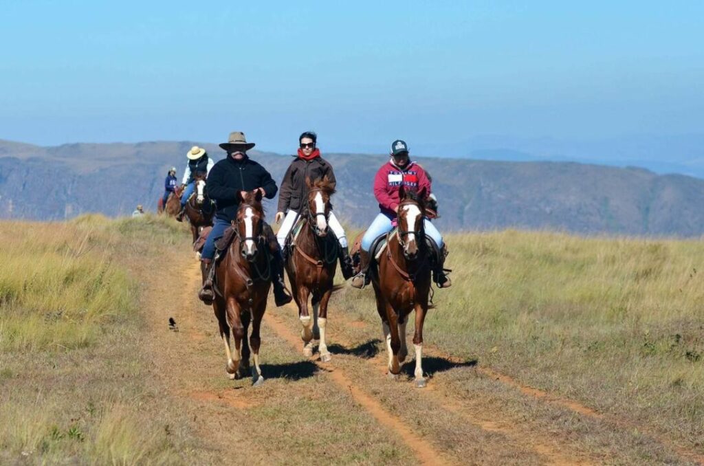 Páscoa na região de Guaxupé (MG) será recheada de amigos, familiares e cavalos Mangalarga