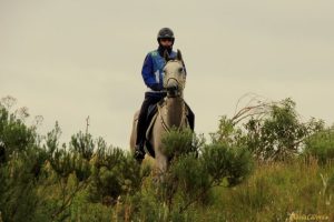 Cavalo Árabe no topo do pódio da 1ª etapa do Campeonato Paranaense de Enduro