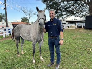 Dr. Reinaldo de Campos e a paixão pelos cavalos