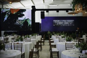 Leilão Prime Horse se consolida no calendário de eventos do Quarto de Milha