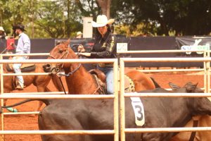 Thirty Champions Team Penning premiará R$ 300 mil durante a Equishow