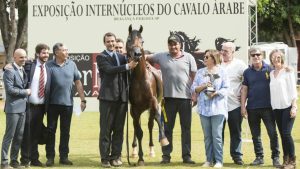 Inscrições para 25ª Exposição Internúcleos do Cavalo Árabe terminam hoje (14/04)