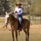 Como treinar seu cavalo para participar de Cavalgadas?