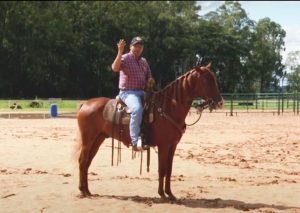 TV UC traz quatro exercícios para fazer com potros iniciantes