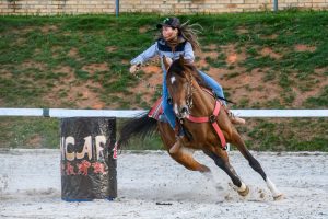 Cavalo Árabe de esporte é tema do programa da raça de hoje