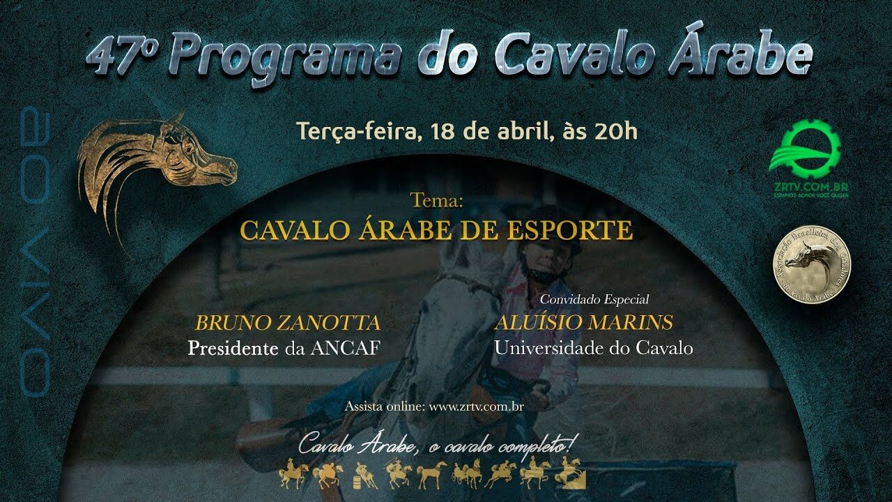 Programa Cavalo Árabe 47 – Cavalo Árabe de Esporte