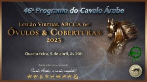 Programa Cavalo Árabe 46 – Especial Leilão ABCCA 2023