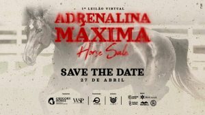 1º Leilão Virtual Adranalina Máxima Horse Sale (GR Leilões)