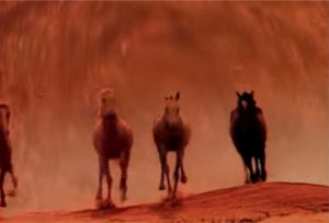 Cavalos foram estrelas em aberturas de novelas