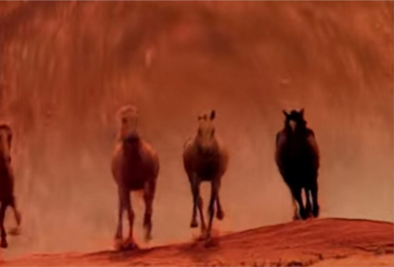 Cavalos foram estrelas em aberturas de novelas
