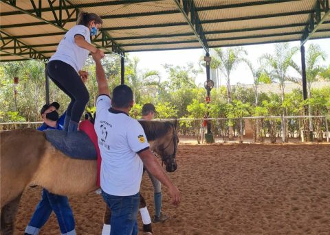 Curso Equitação Transformativa será realizado em São José do Rio Preto (SP)