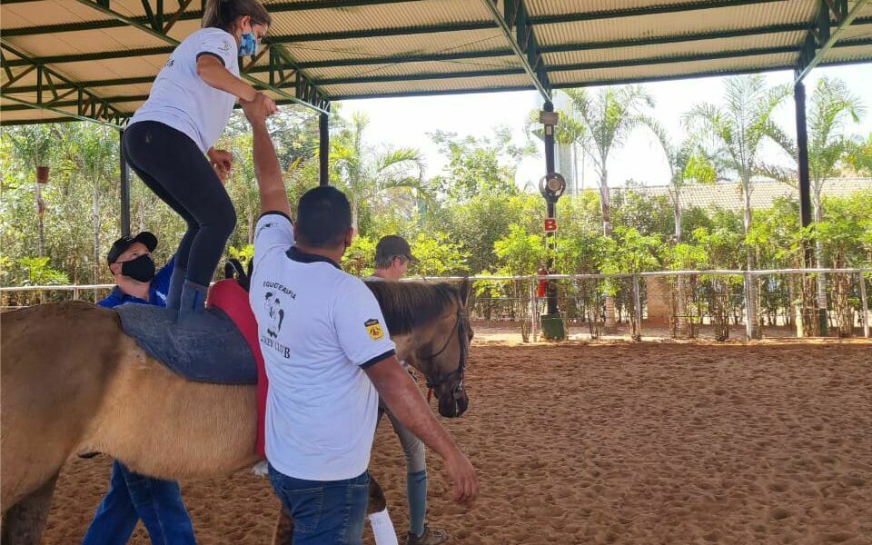 Curso Equitação Transformativa e Consciência Corporal por meio do cavalo