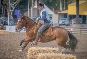 Freio de Ouro 2023 no Uruguai classifica oito exemplares para a Expointer