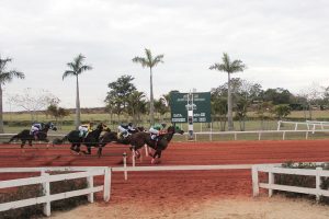 GP Megarace começa neste sábado trazendo R$ 1 milhão em prêmios