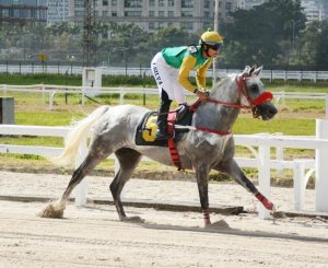 GP Paulo Jamil Saliba homenageia um grande incentivador do cavalo Árabe de corrida