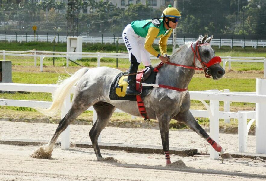 GP Paulo Jamil Saliba homenageia um grande incentivador do cavalo Árabe de corrida