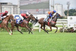 Grande Prêmio de Turfe chega à 100ª edição no Jockey Club de São Paulo 