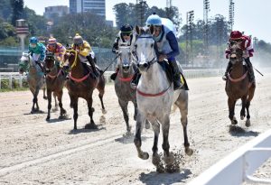 Grandes Prêmios Wathba Stallions Cup for Fillies e Colts acontecem neste sábado no Jockey Club de SP