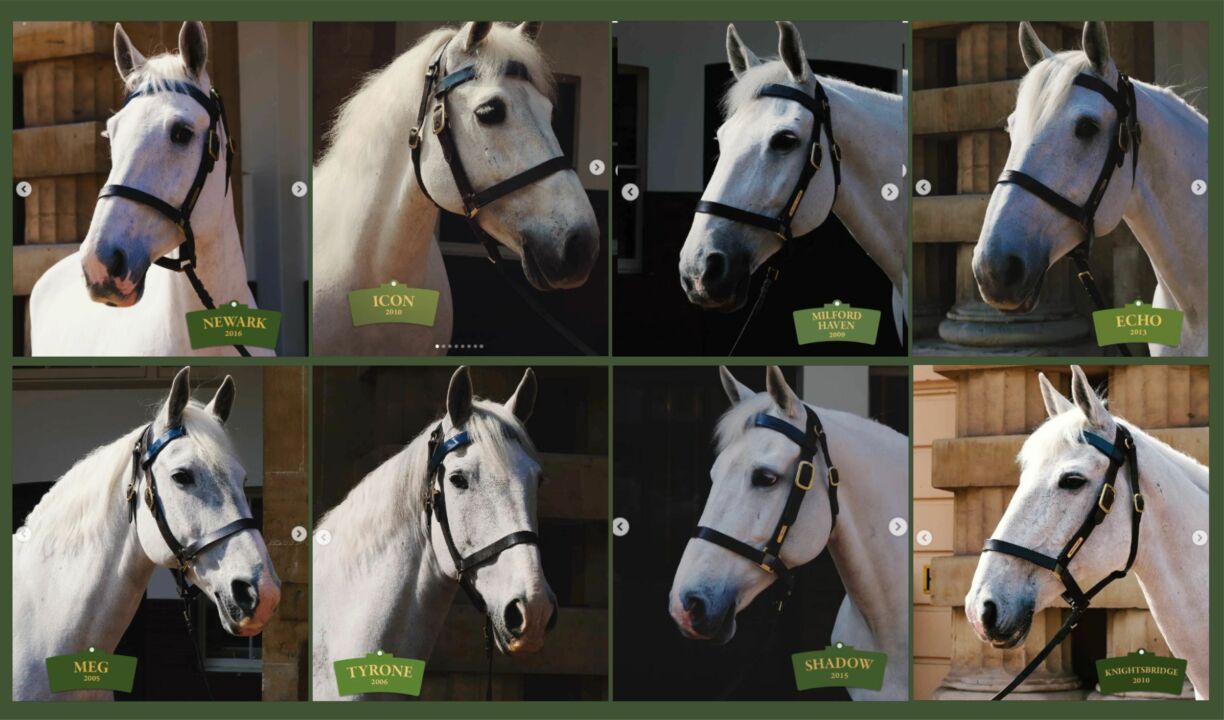 Os oito cavalos que estarão na coroação de Rei Charles III