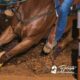 Tecnologia traz avanço no treinamento dos cavalos de competição