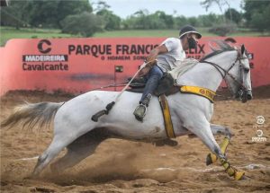 Vaquejada movimenta mais de R$ 800 milhões por ano e aquece mercado dos esportes equestres