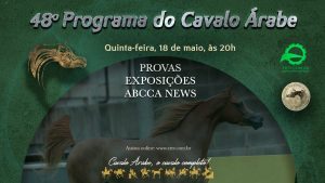 Programa Cavalo Árabe 48 – Provas, Exposições e ABCCA News