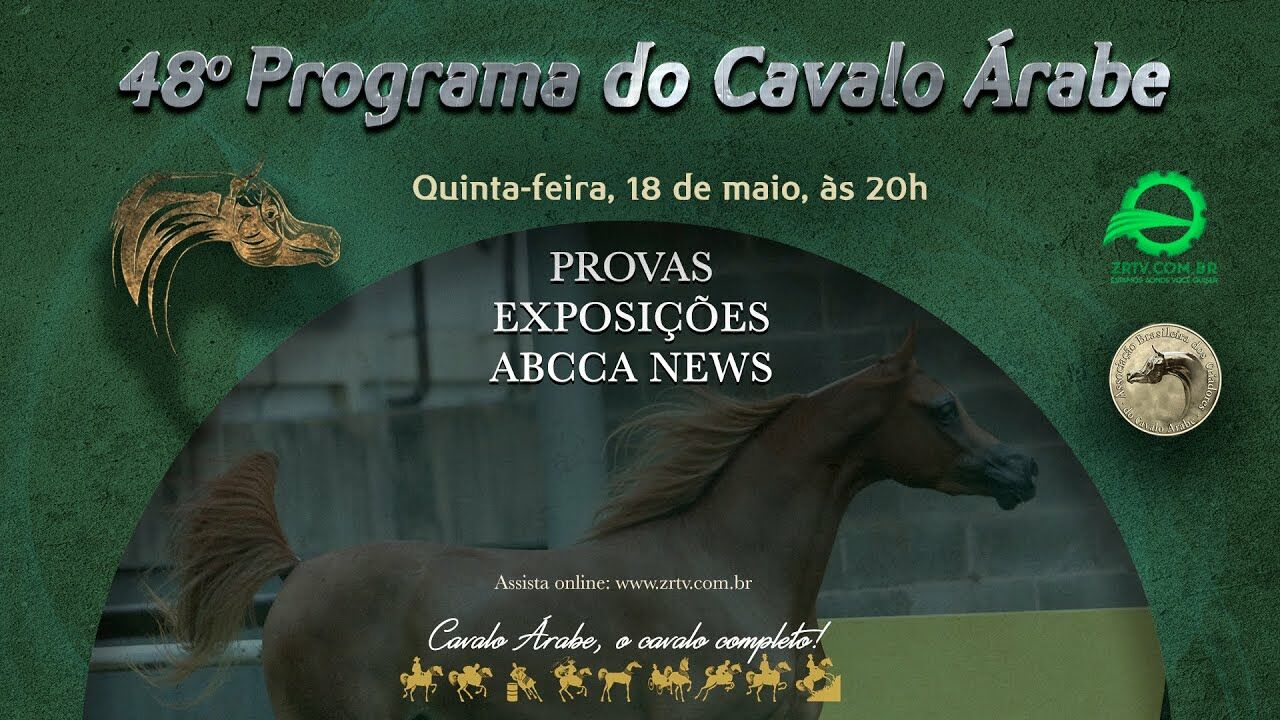 Programa Cavalo Árabe 48 – Provas, Exposições e ABCCA News