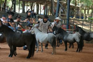 4ª Ranqueada Alpes NPPB reunirá os melhores Pôneis do país no interior de SP