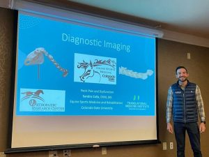 ABRAVEQ 2023 contará com palestra sobre reabilitação global em equinos