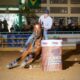 Cavalo Árabe estabelece novo recorde no Três Tambores