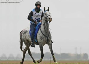 Conan D’Jok TRIO, cavalo brasileiro da raça Árabe, vence prova de enduro na Eslováquia