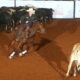 Desafio do Vaqueiro destaca conjunto formado por Djalma Bezerra Neto e Big Brown Del Rancho