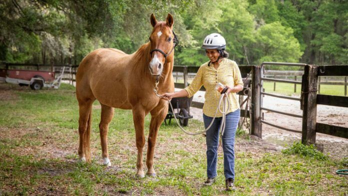 Entender os cavalos pode ajudar a melhorar as interações humano-robô