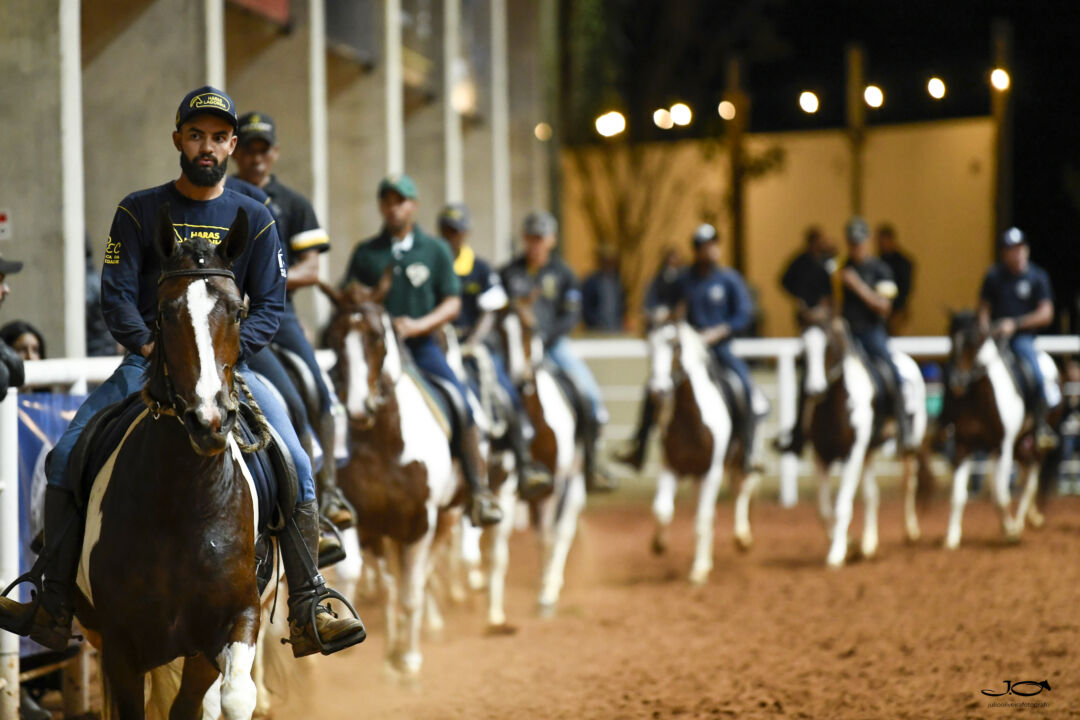 Exposição Brasileira do Cavalo Mangalarga será realizada em Brasília 