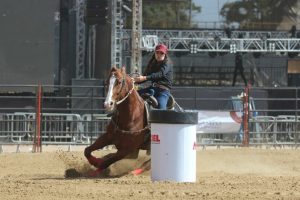 Campeonatos de Três Tambores e de Ranch Sorting são destaques durante a Jacareí Expo Agro