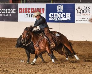 Look At Her Glo e sua importância no Working Cow Horse