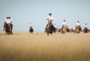 Marcha Anual de Resistência inicia no sábado com 53 animais participantes