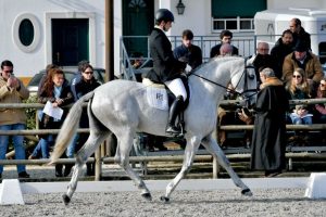 Mercado equestre movimenta economia em Portugal