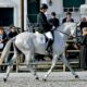 Mercado equestre movimenta economia em Portugal