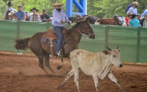 Potro do Futuro, Campeonato Nacional e Derby de Laço Comprido acontecerão no Parque do Peão, em MS