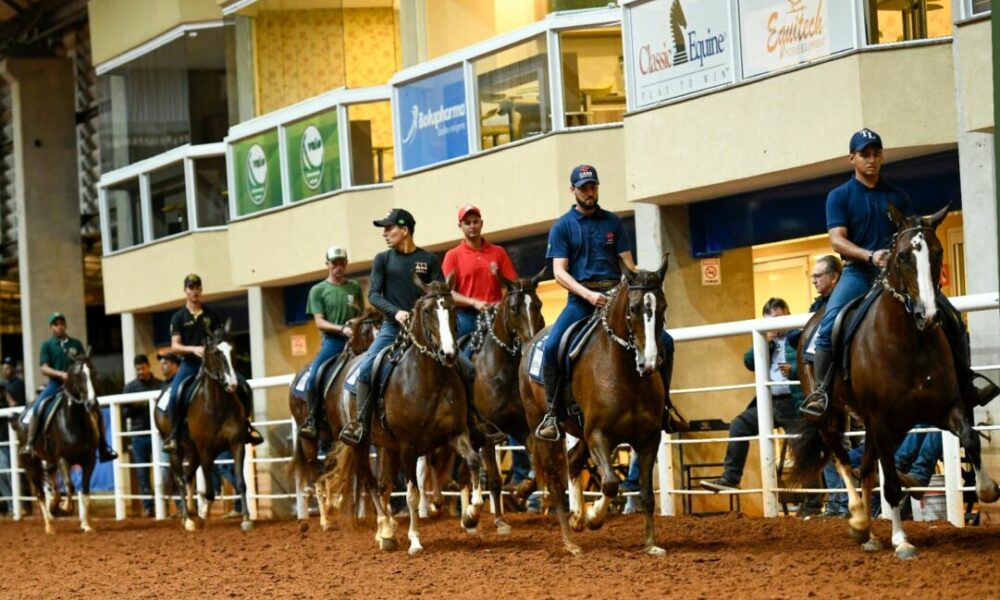 Primeira etapa da 19ª Exposição Brasileira celebra o Cavalo Mangalarga