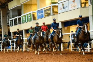 Primeira etapa da 19ª Exposição Brasileira celebra o Cavalo Mangalarga