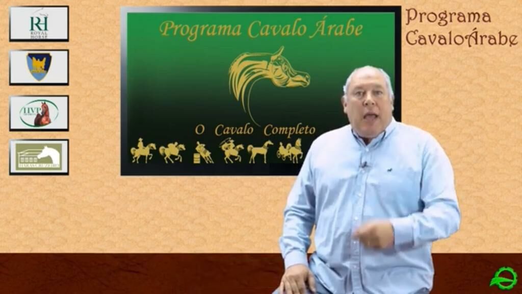 Programa do Cavalo Árabe chega à edição de número 50 nesta quinta