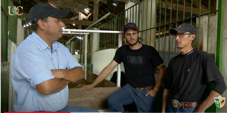 TV UC dá dicas do que fazer em centros de treinamentos nos dias de chuva