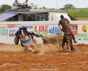 1º Potro do Futuro de Vaquejada Paint Horse promete movimentar o Nordeste