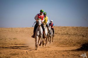 32º Campeonato Brasileiro de Enduro Equestre começa nesta sexta (21/07) em Campinas (SP)