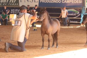 4ª Ranqueada Alpes NPPB já conta com recorde de animais inscritos