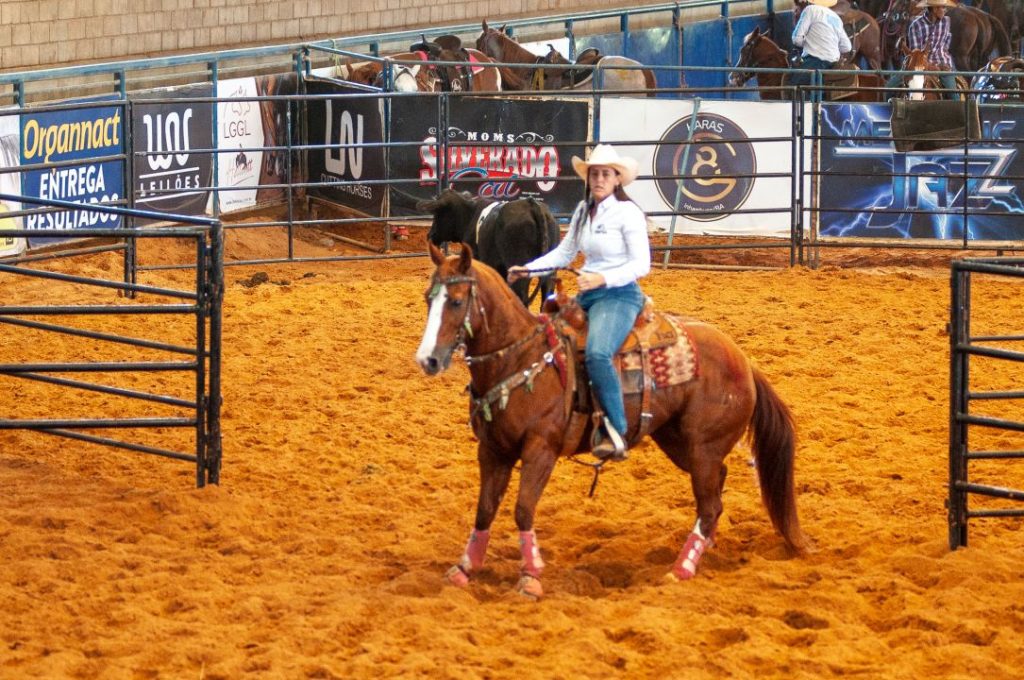 Agro Sem Limites terá provas equestres de Apartação e Ranch Sorting